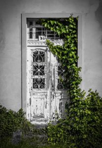 Jardin mal entretenu